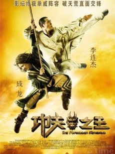 功夫之王海报
