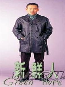 新鲜人海报