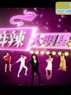 麻辣大明星海报