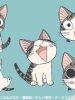 甜甜私房猫的图片