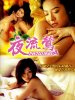 夜流莺的图片